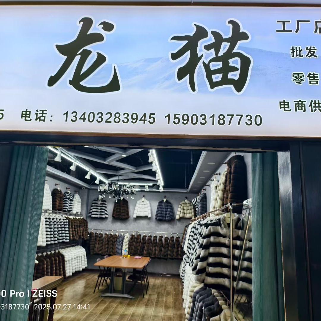 龙  猫