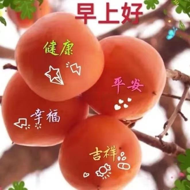 丹丹姐