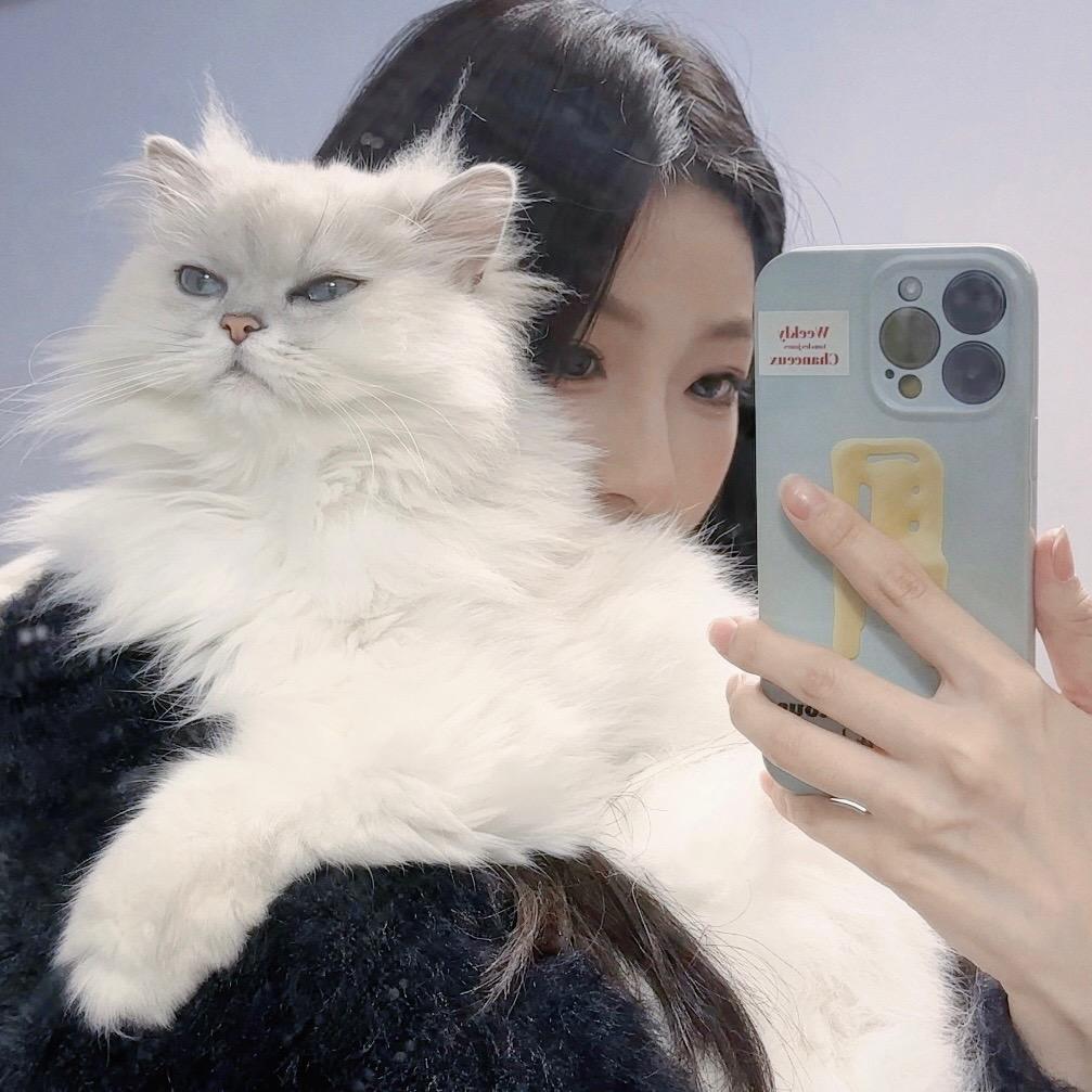 小吕板板