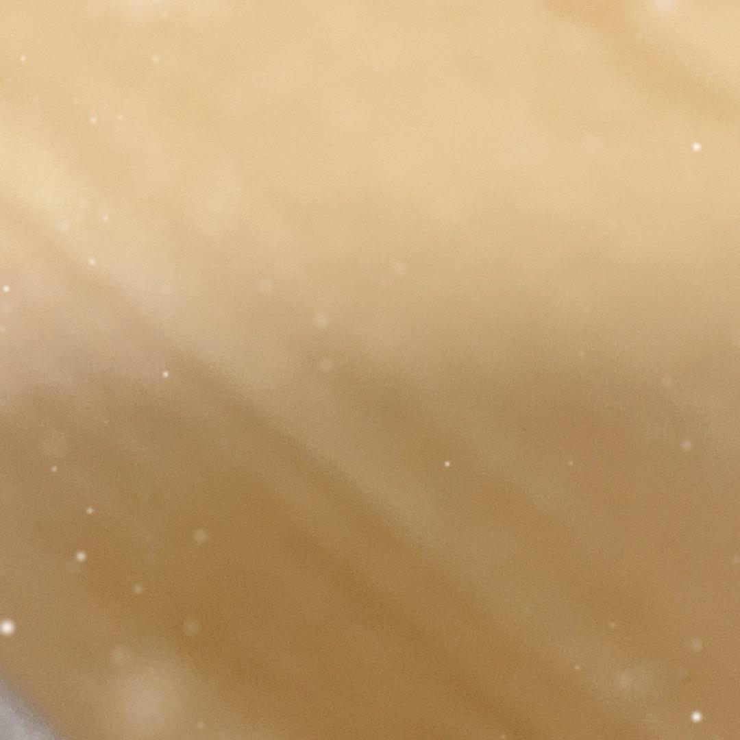 伊丽