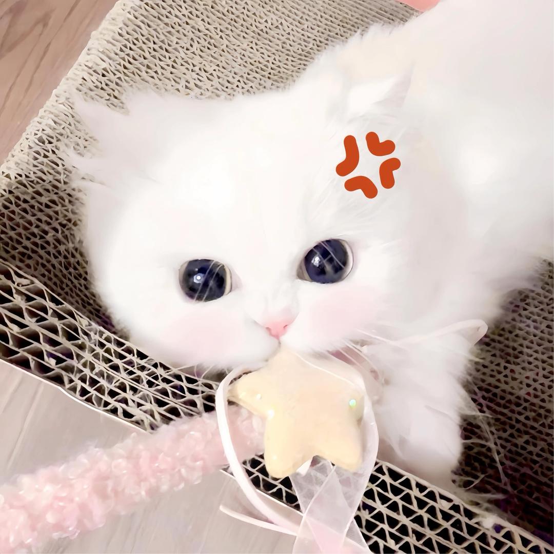 小u郁
