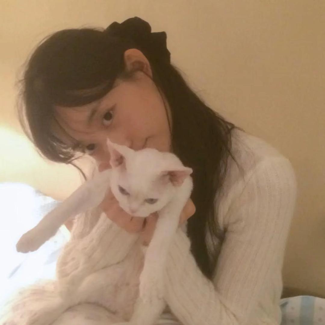 yyu