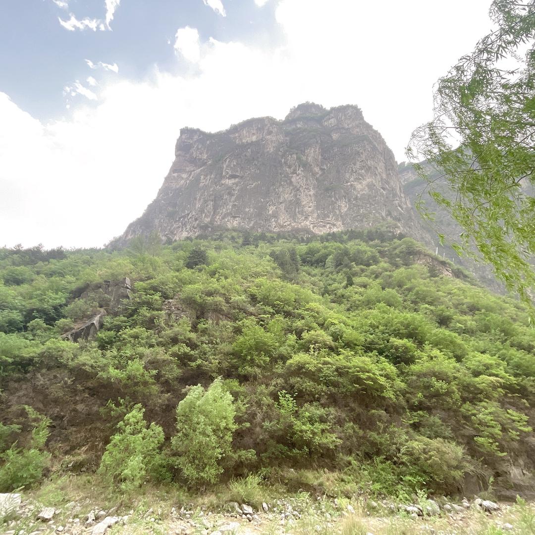 吃果粒不喝果粒橙