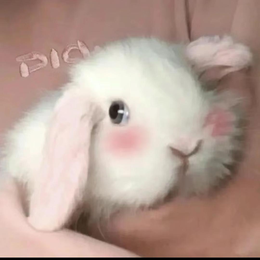 阿紫啊紫