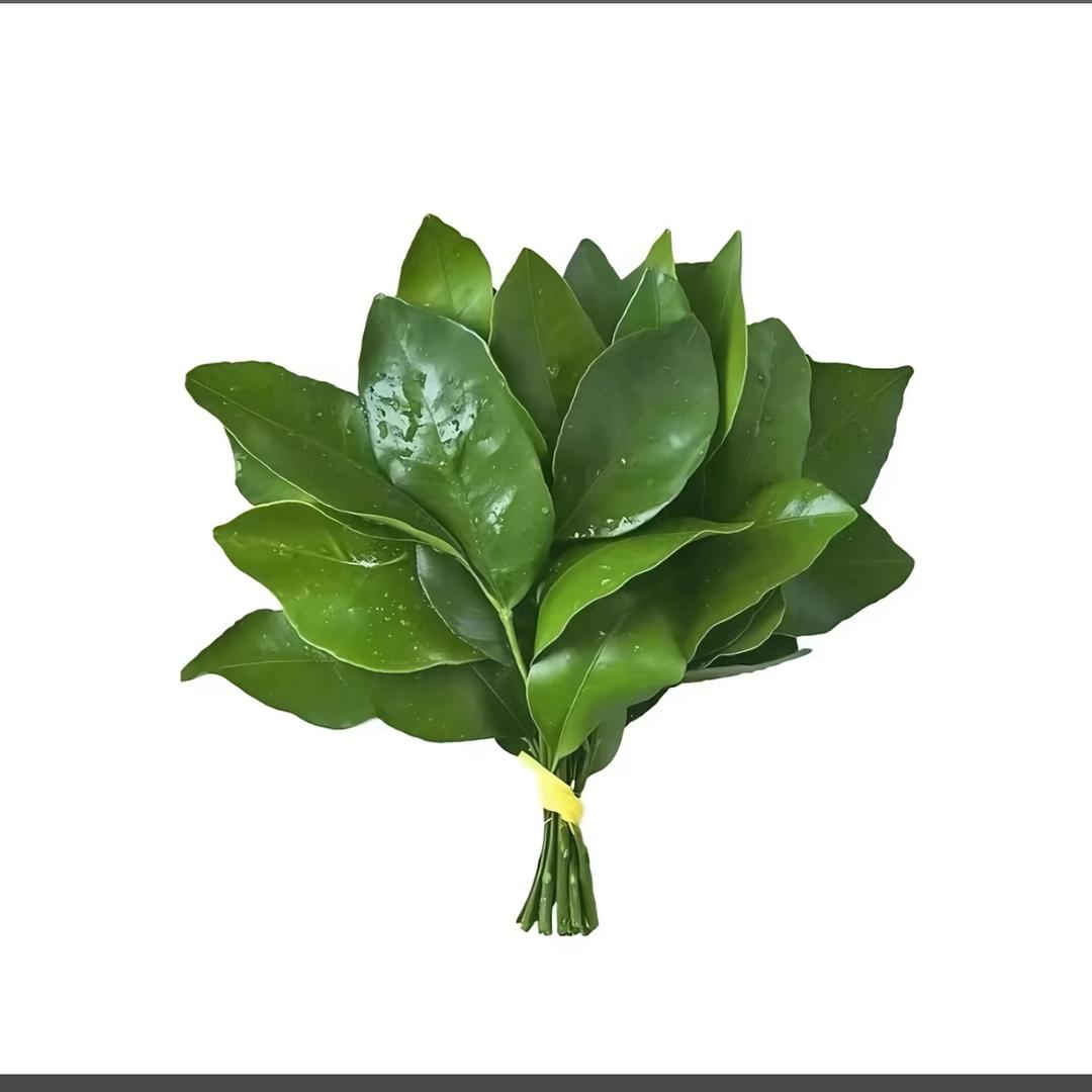 Cc