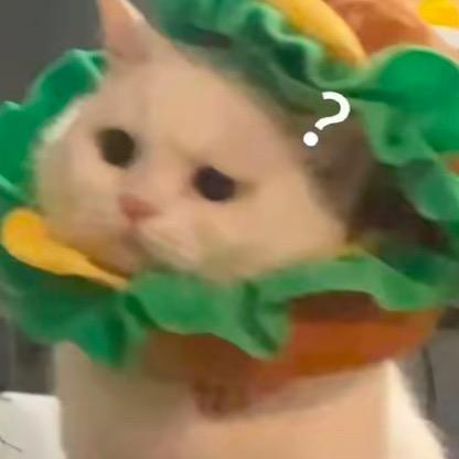 北溟鱼