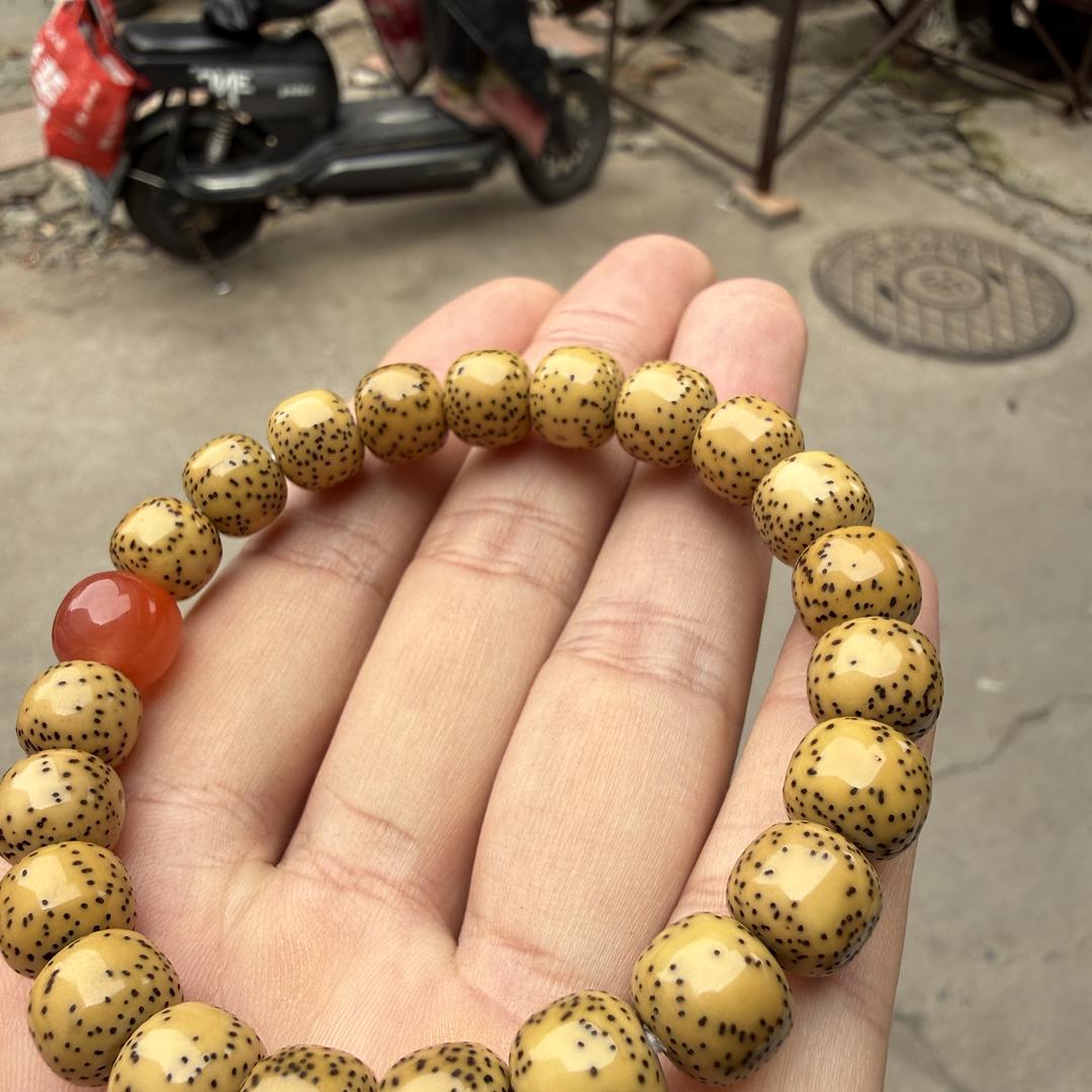 兵哥菩提（星月)