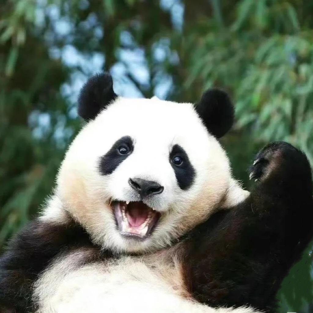 尜瑪麗