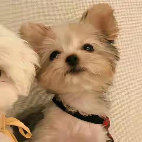 随便活