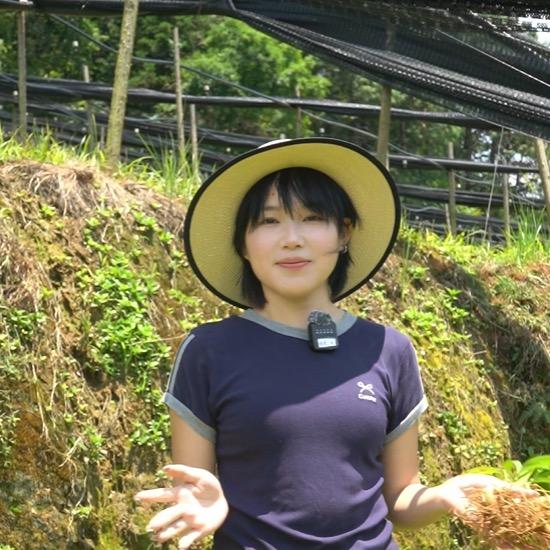 种植中草药的婷婷