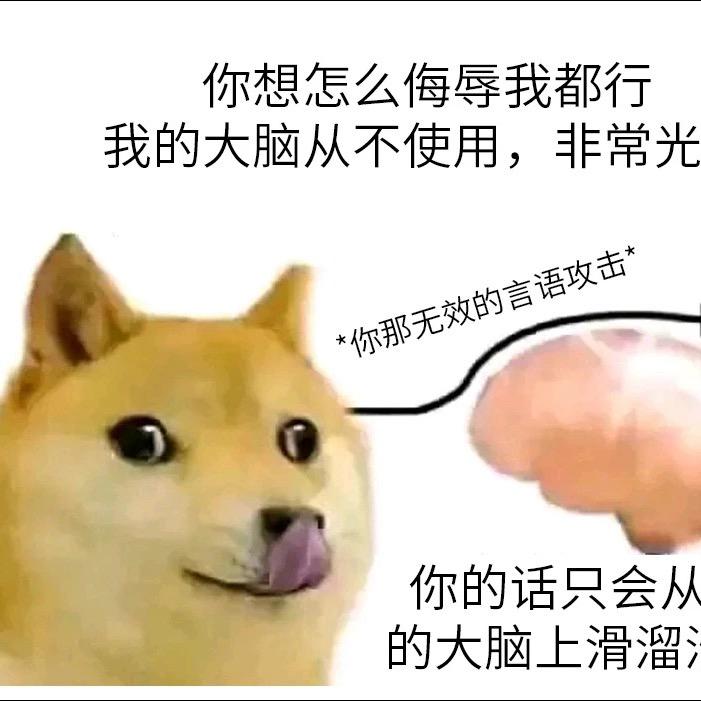 猫猫球