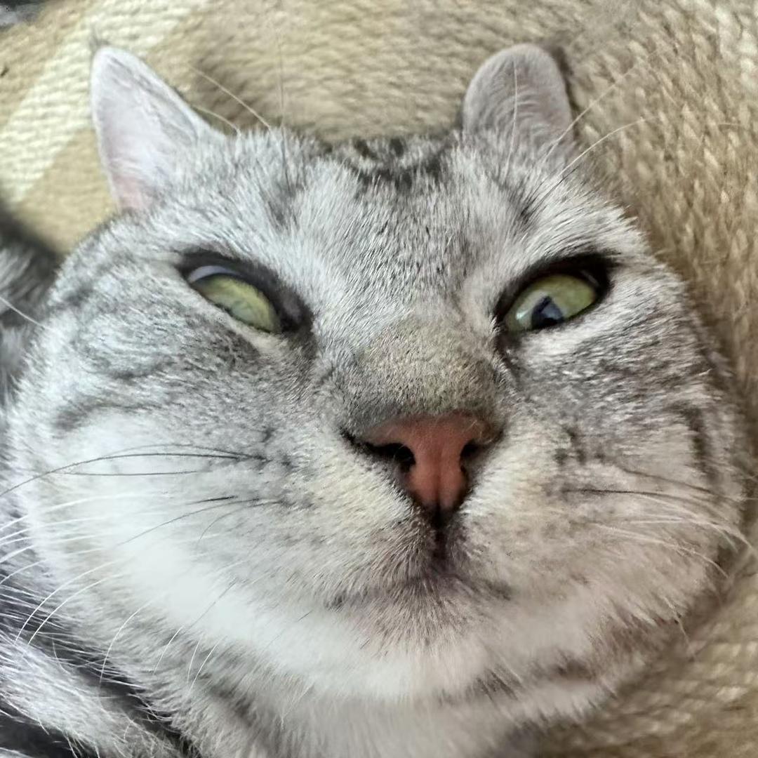 大力牛魔王
