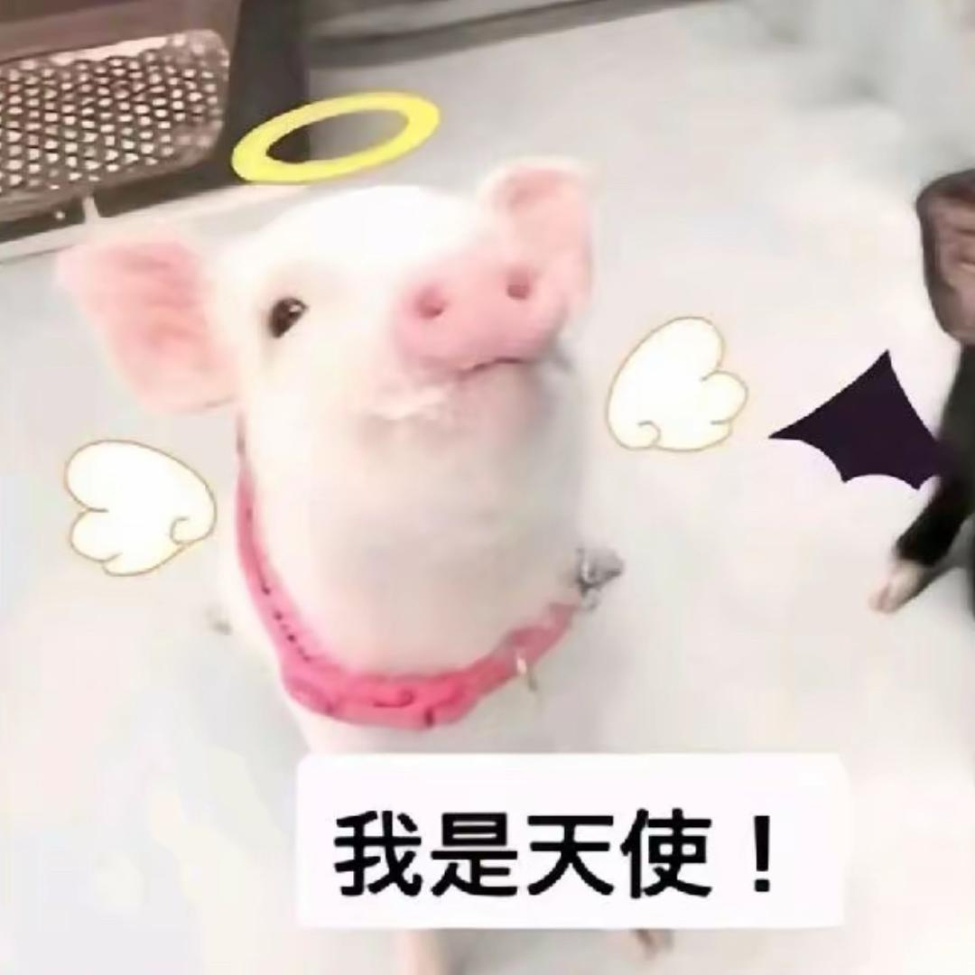 2000酸性酱