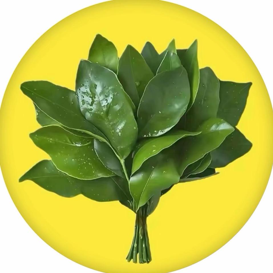 এོ 倒戈࿐一击 ๑҉