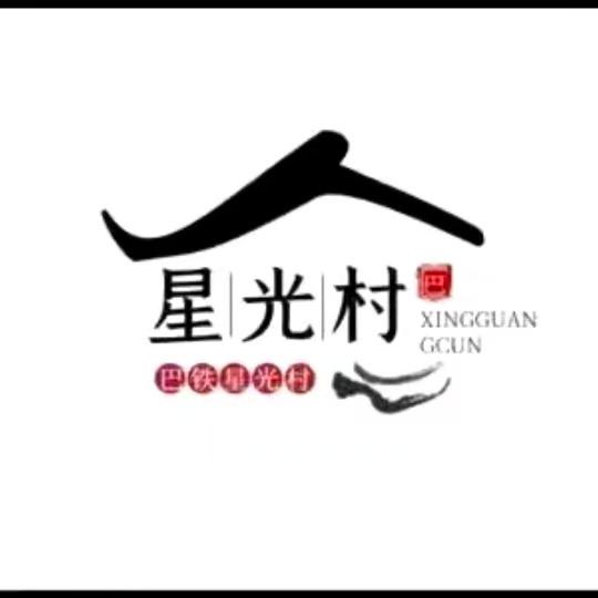 星光村飞弟