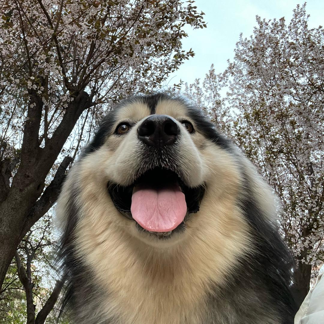 张得瘦🍒
