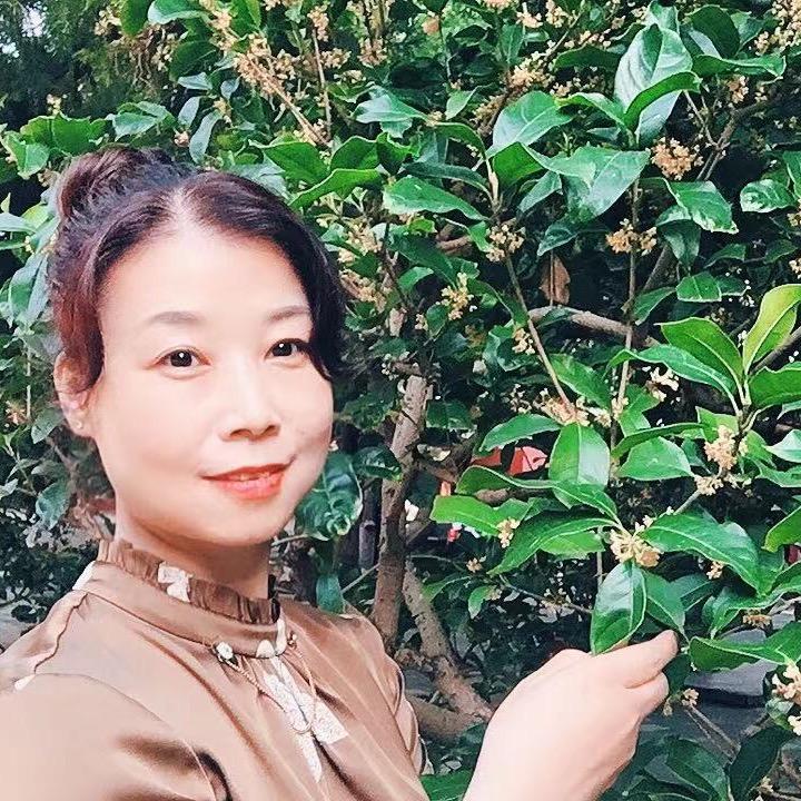 🌞向阳而生