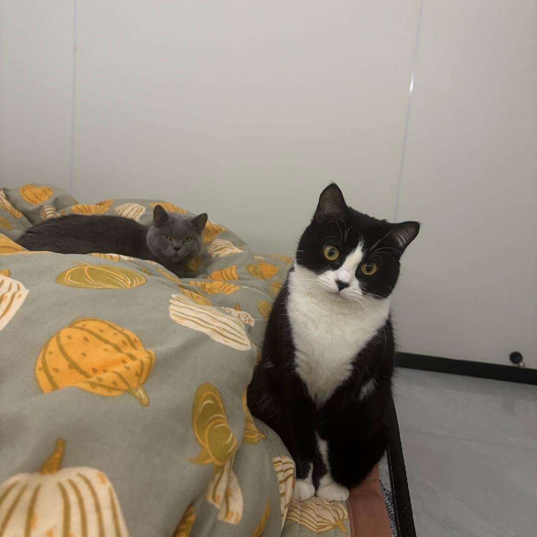 张朋睿在泰国外贸进出口