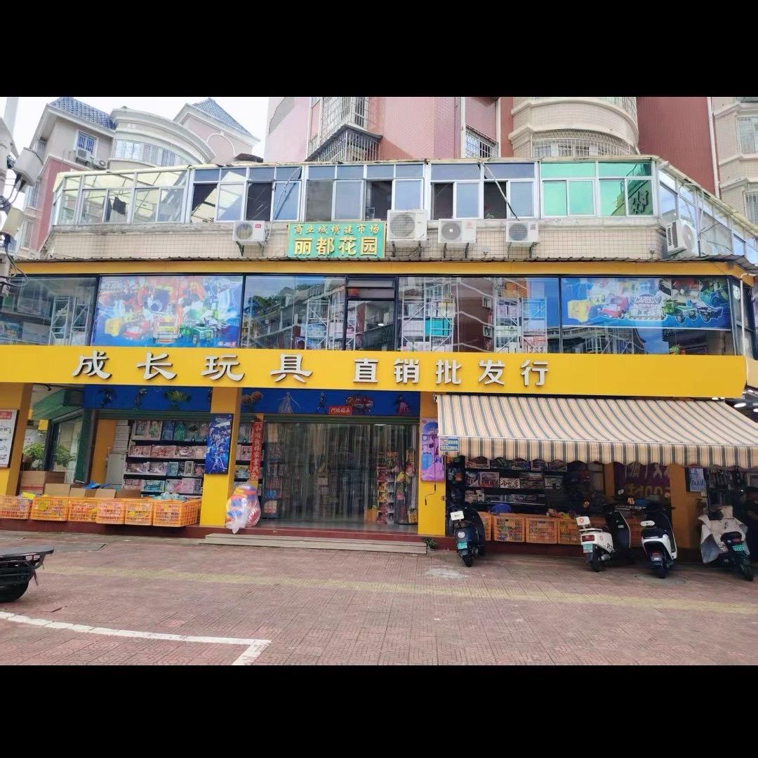 漳州市芗城区·成长玩具