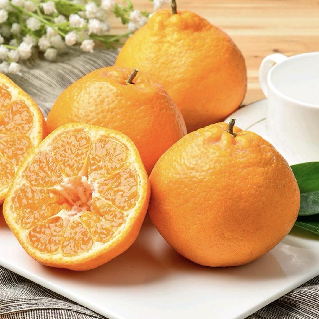 鲜萃源果蔬甄选