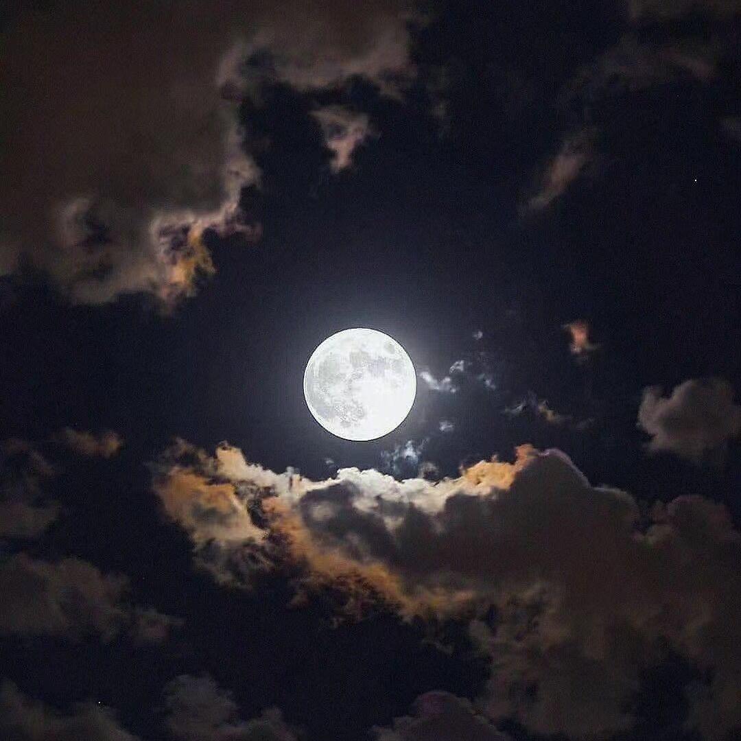 🌙是月亮吖
