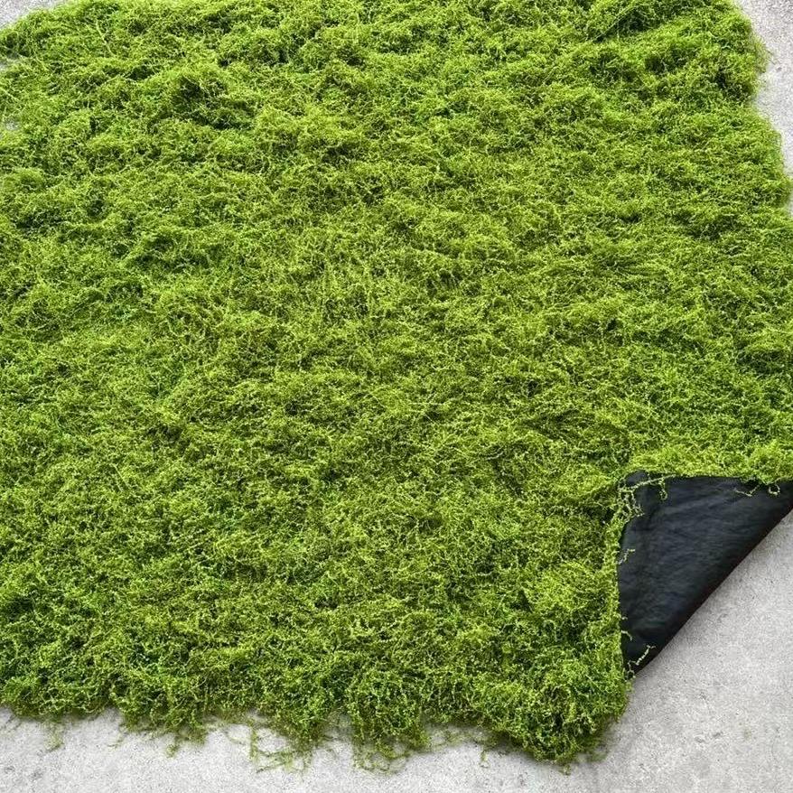 泉州市昕月园艺有限公司