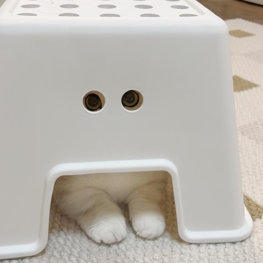 再见仍不落俗尘