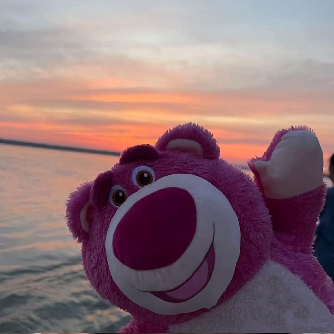 爱睡觉的十一（总失眠版）