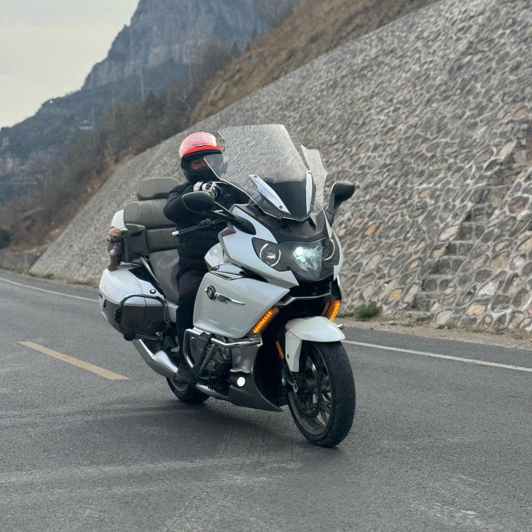 苏醒的狮子🦁️