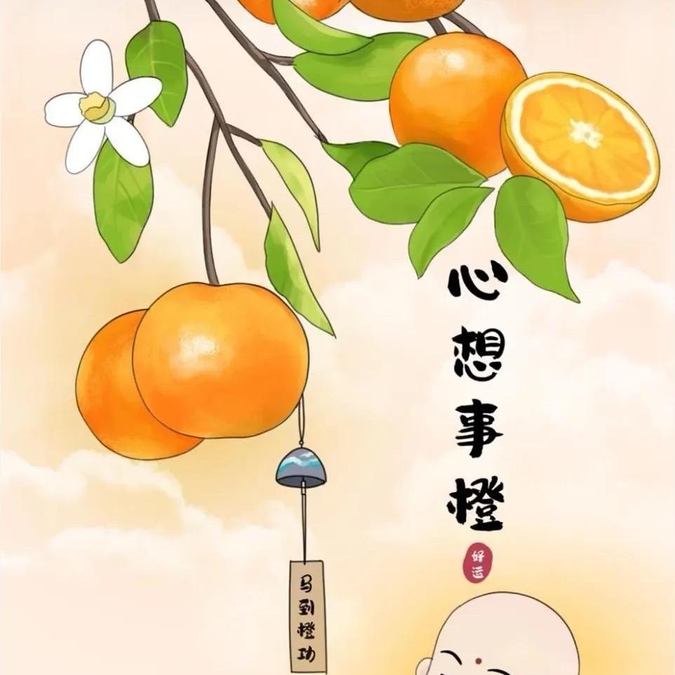 柿柿如意-实体店