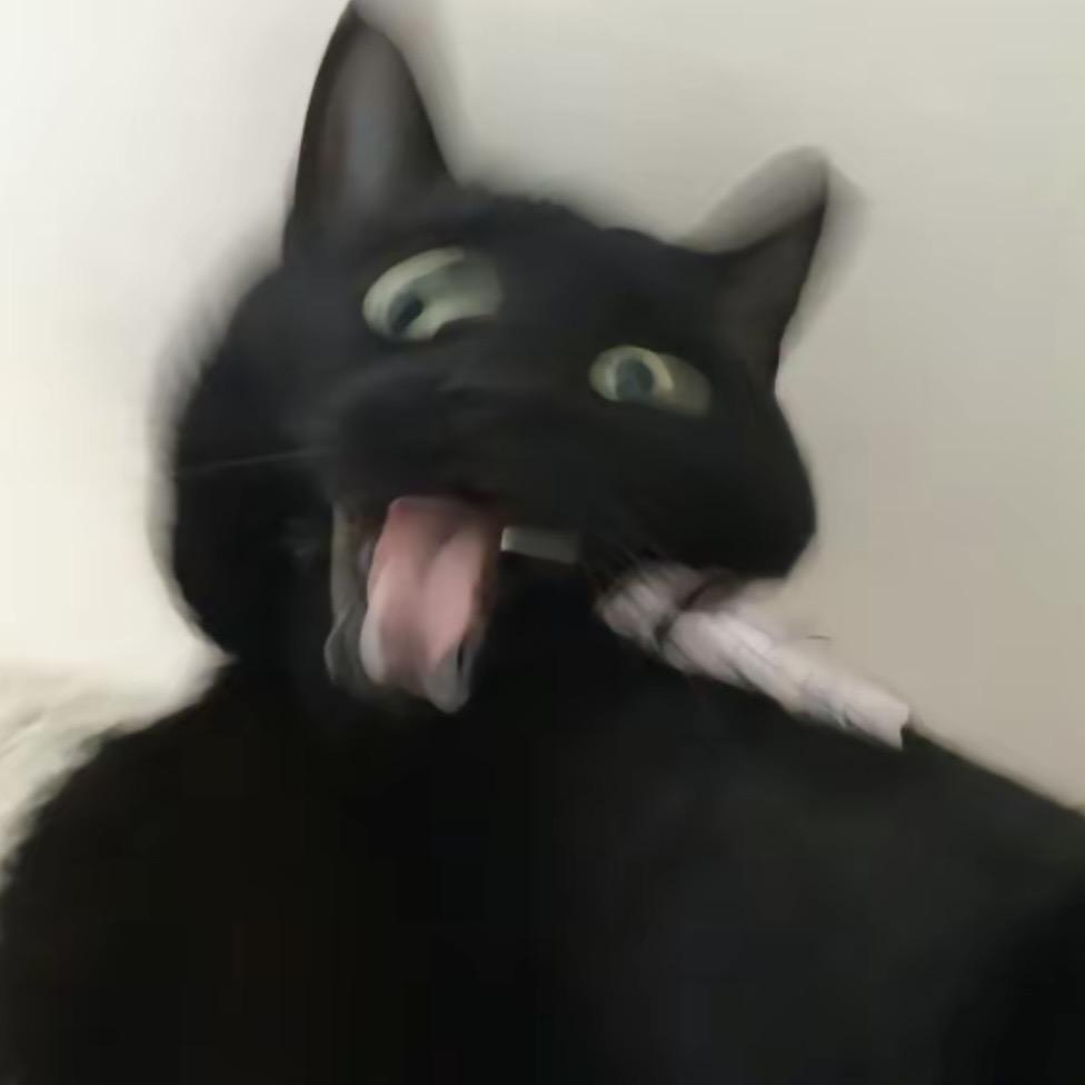 CC_C酱