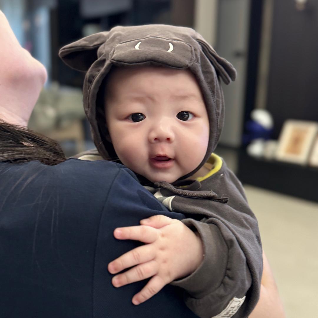 暴躁狮子🦁️(闫想想成长记)