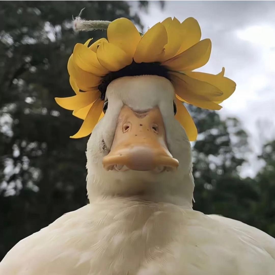 W.w.