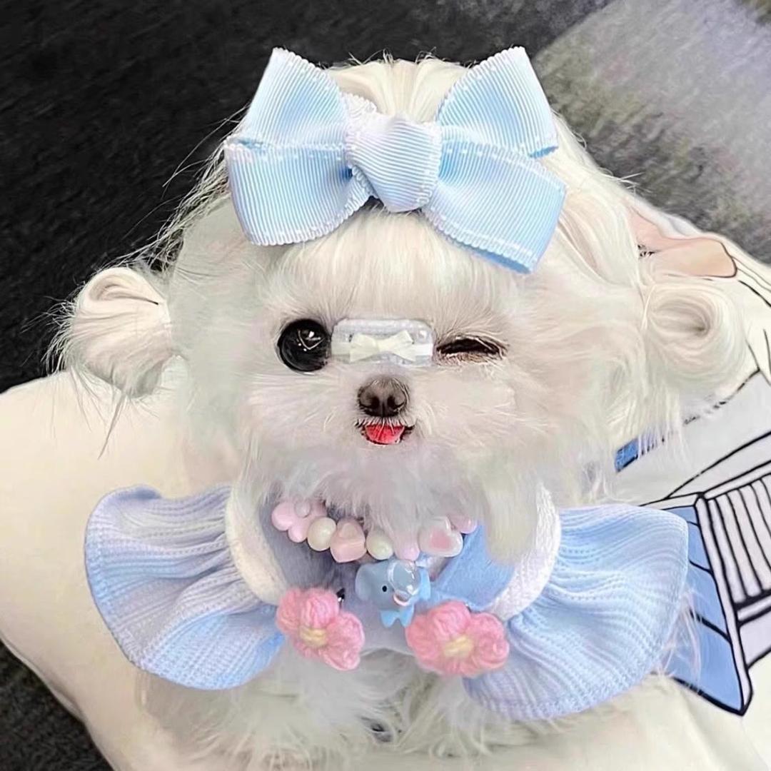 马尔