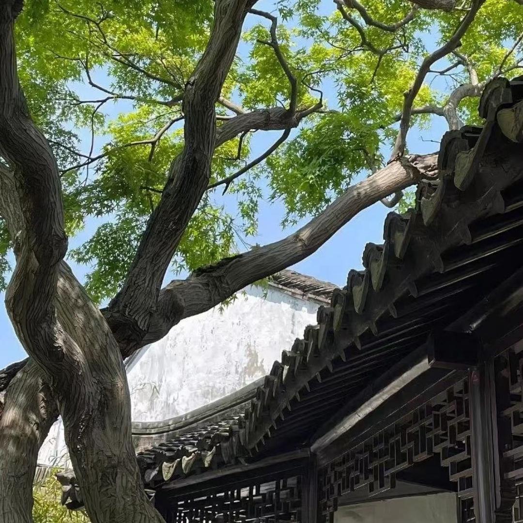 小辉ꦿ⁵²⁰এ