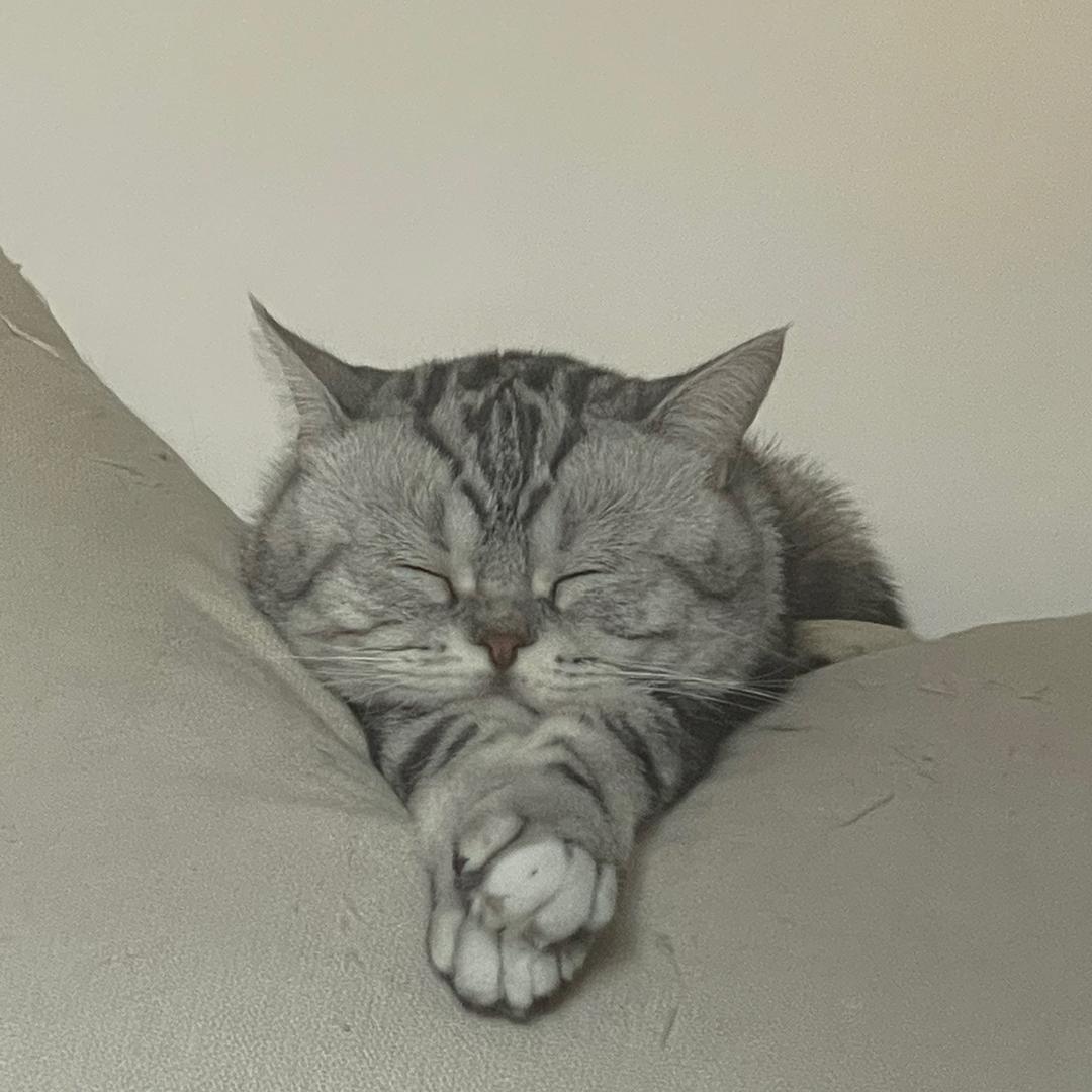 弄弄