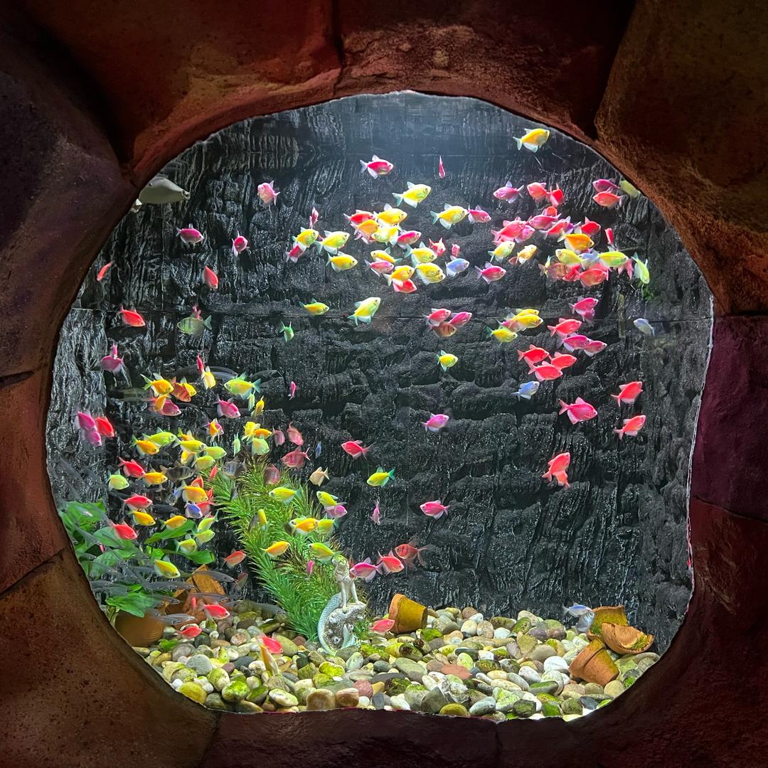 局部地区强降雨