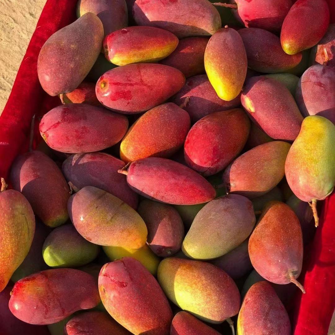 吉奇鲜硕虎果蔬专卖店