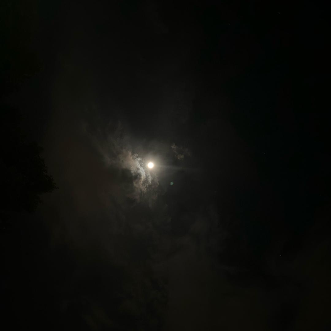 .冬至.（吃丹修仙）