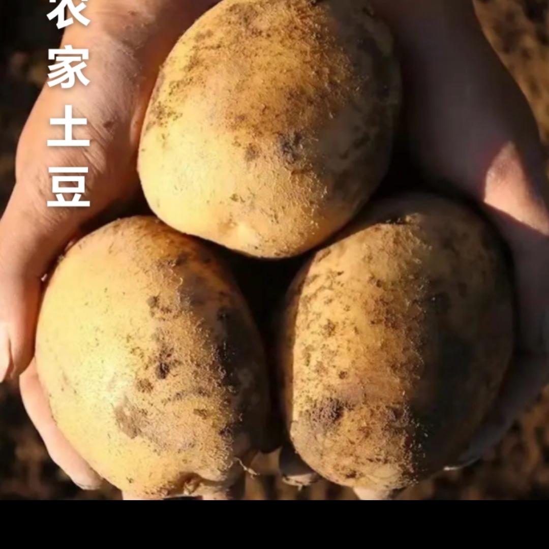 陇上甄品农产品店