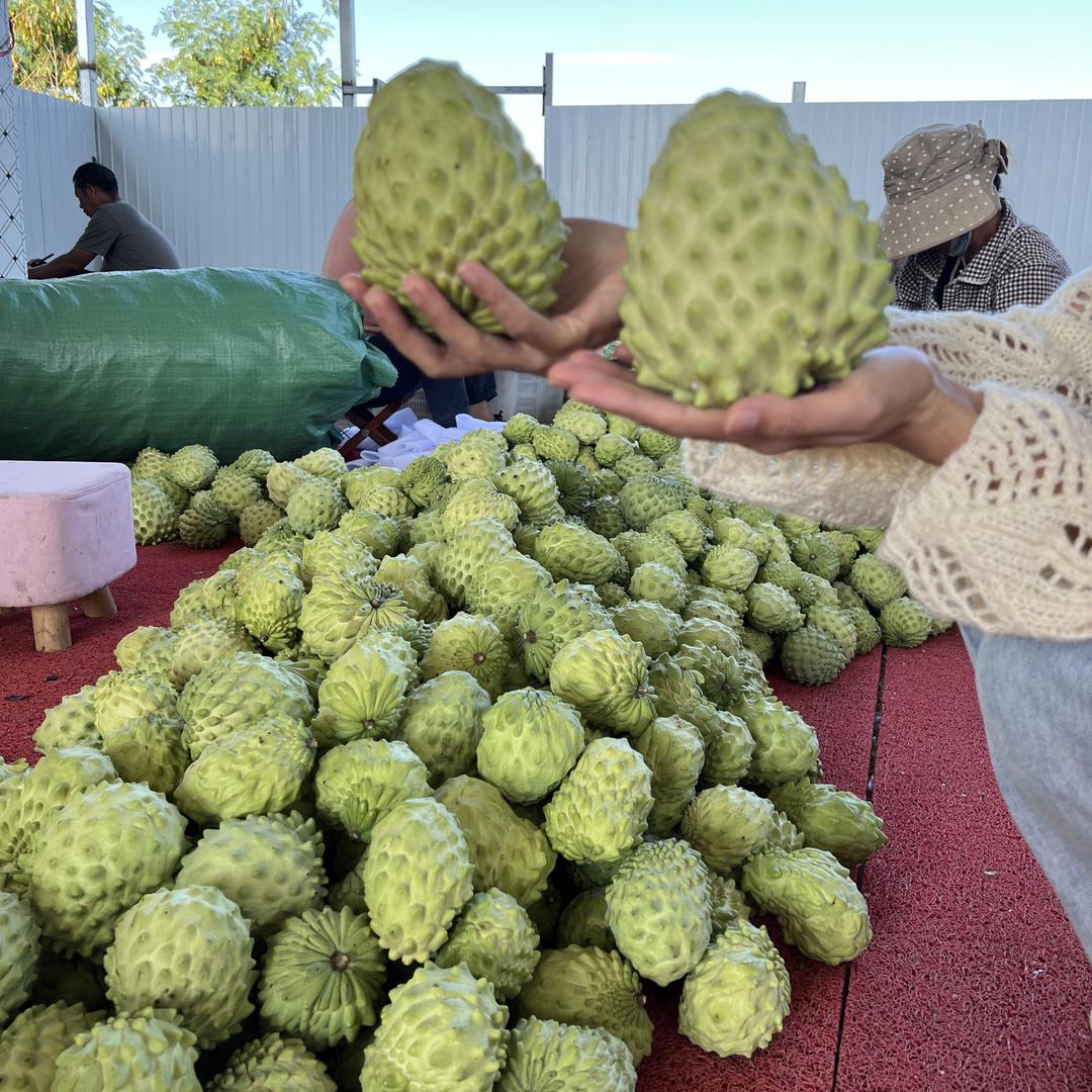 可家水果优品店