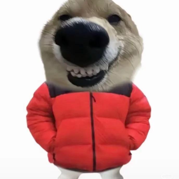 蛋总