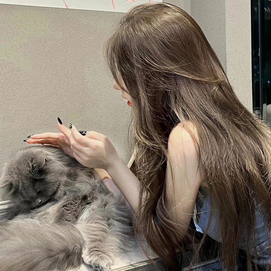 旺財锦鲤🎀