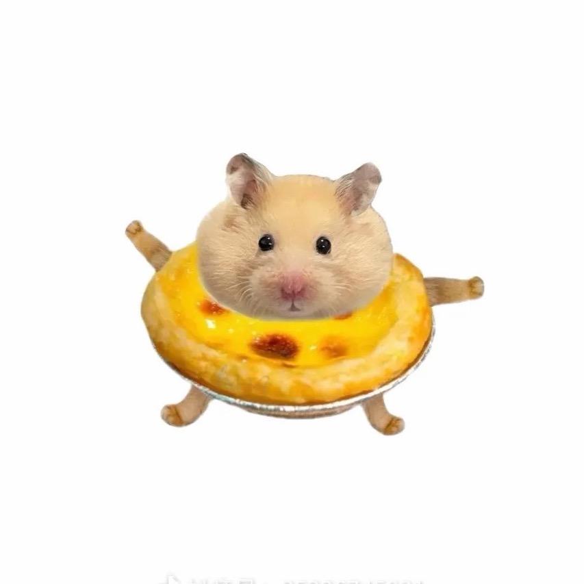 一口八个蛋挞.