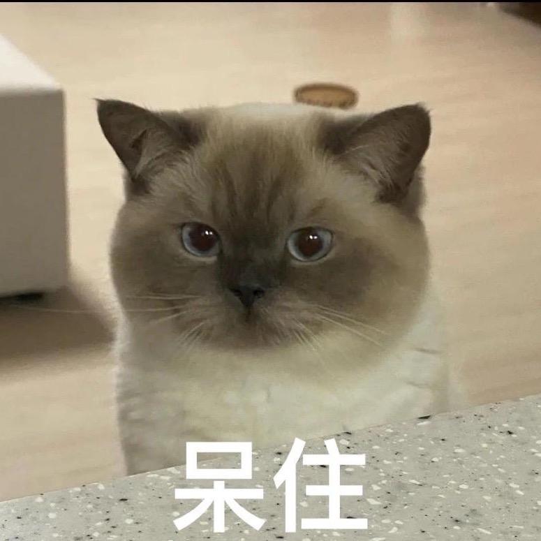 小尼若
