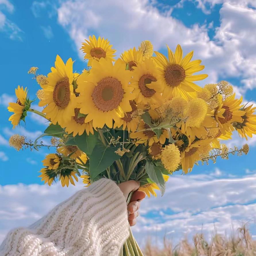 双倍L💗(藤条编织)