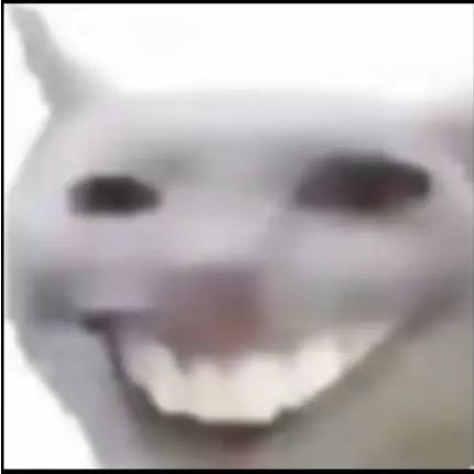 江小鱼