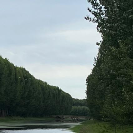 山河