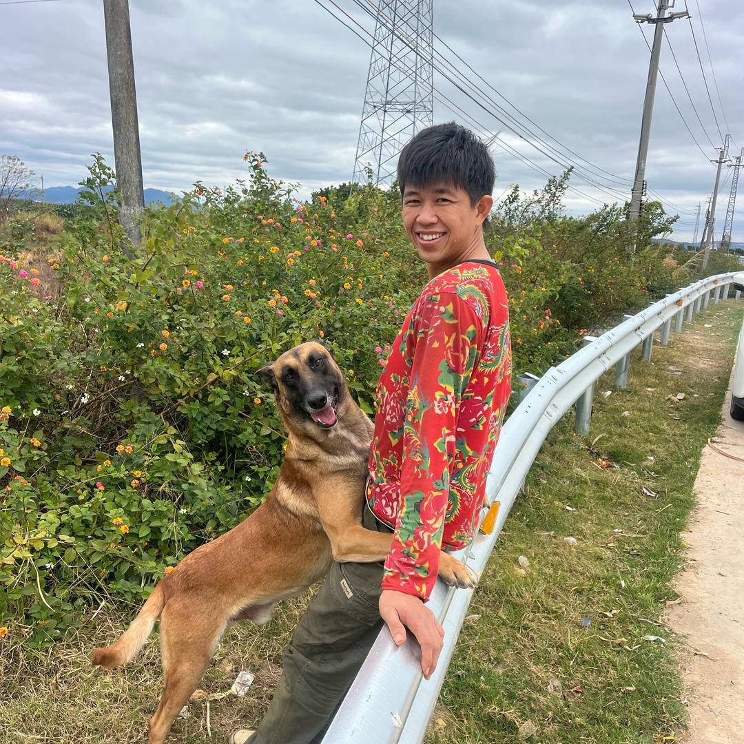 辛巴旺旺旺