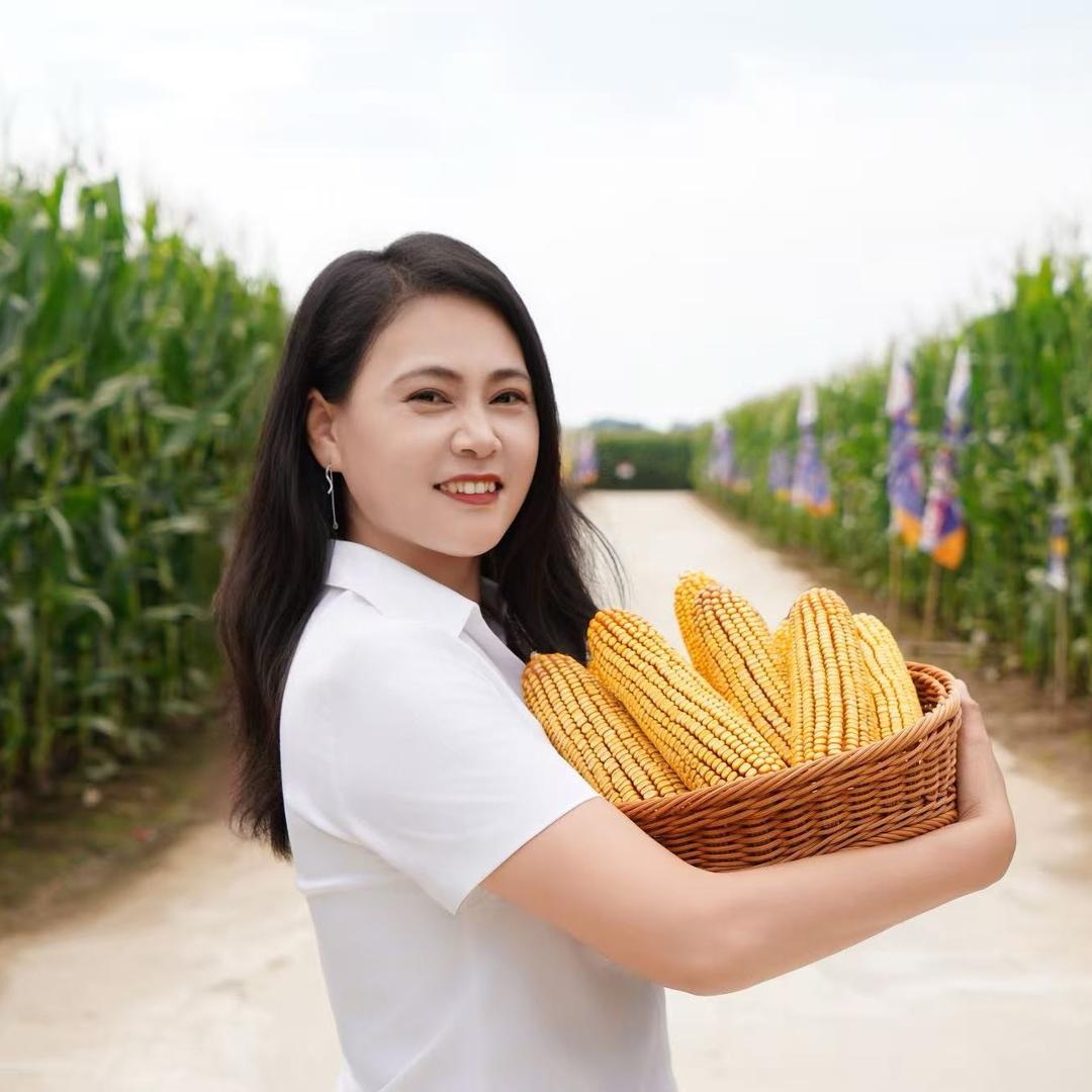 玉米满满(东亚种业厂家)